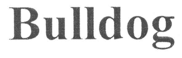bulldog