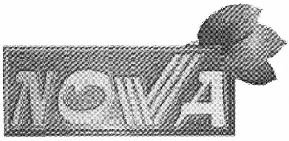 nova