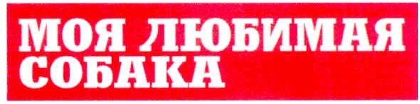 моя любимая собака