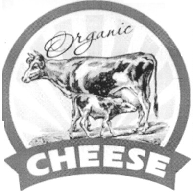 organic cheese