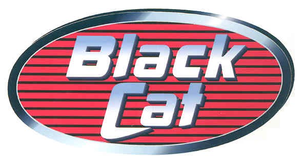 black cat