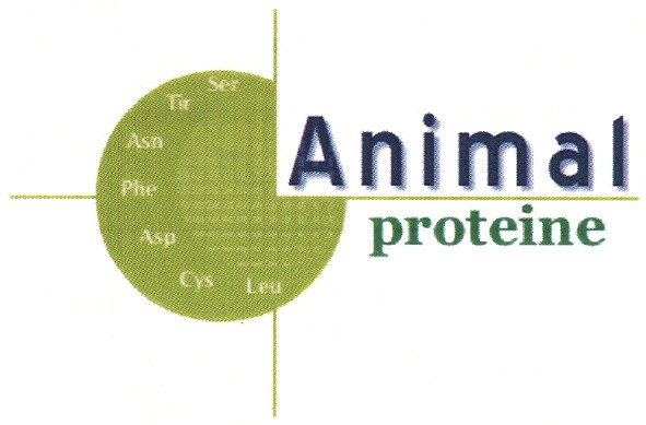 animal proteine