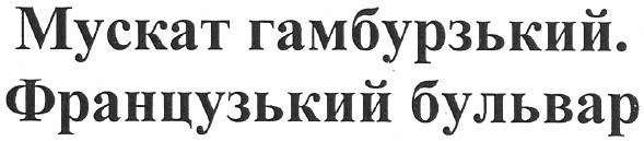 мускат гамбурзький. французький бульвар