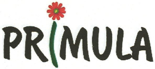 primula