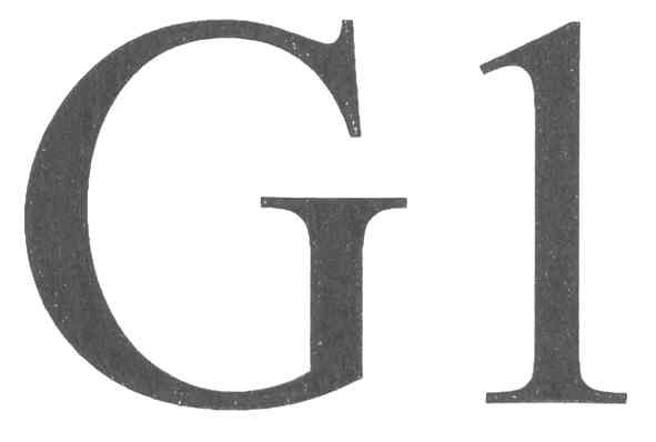 g1