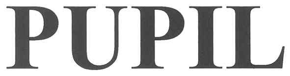 pupil