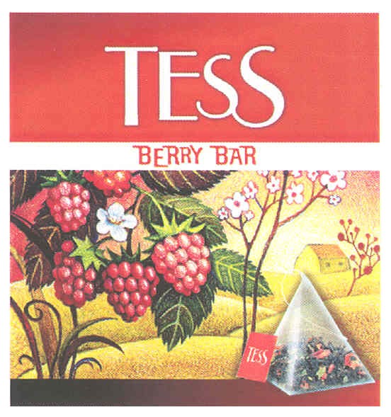 tess berry bar