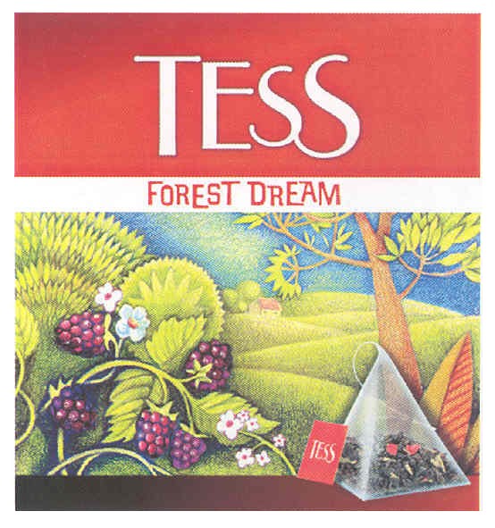 tess forest dream