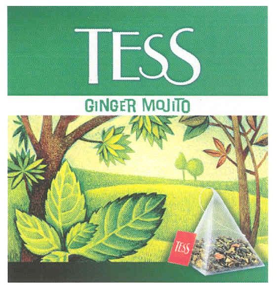 tess ginger mojito