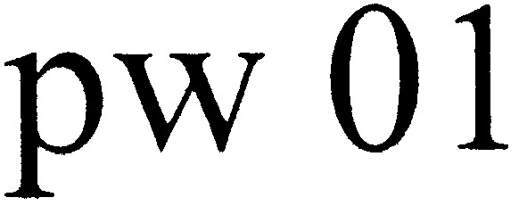 pw 01