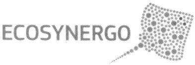 ecosynergo