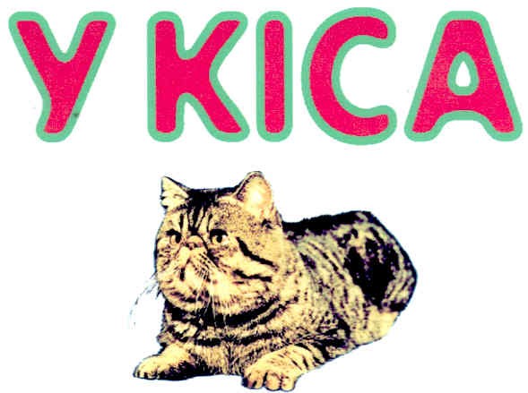 у кіса