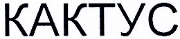 kaktyc