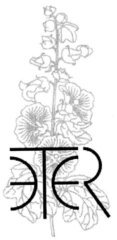eter