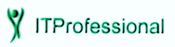 it professional