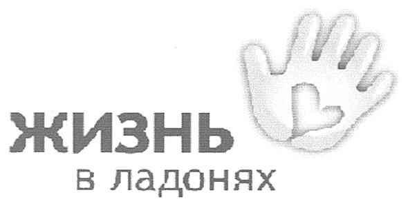 жизнь в ладонях