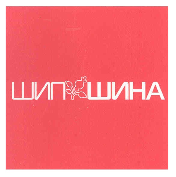 шип шина