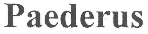 paederus