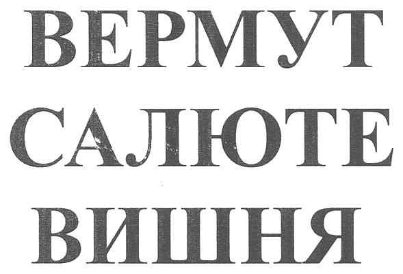 вермут салюте вишня