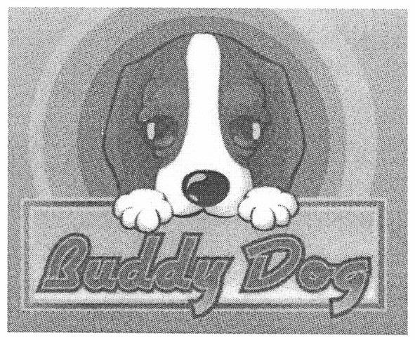 buddy dog