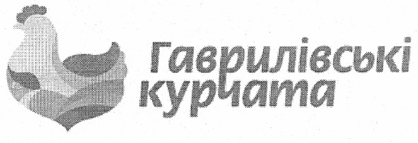 гаврилівські курчата