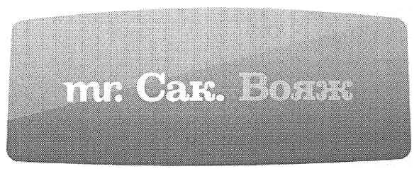 mr. сак. вояж