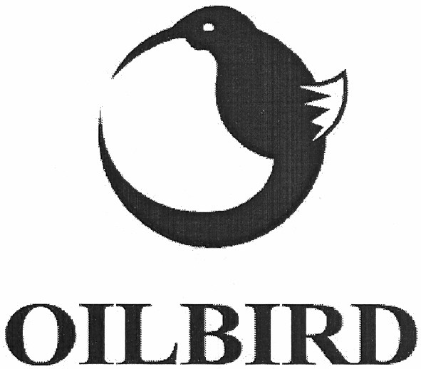 oilbird