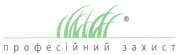 професійний захист