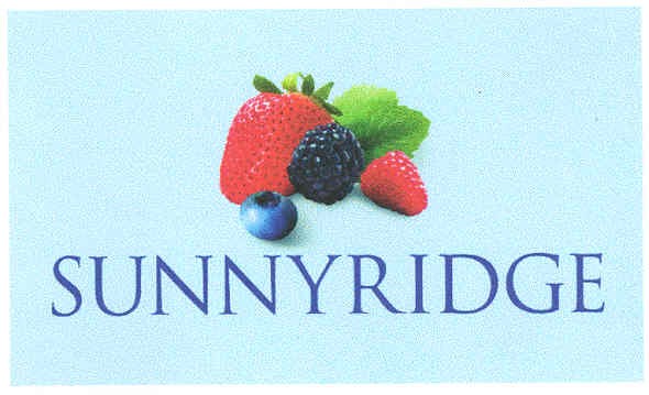 sunnyridge