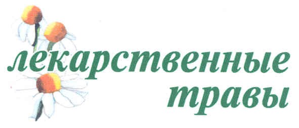 лекарственные травы