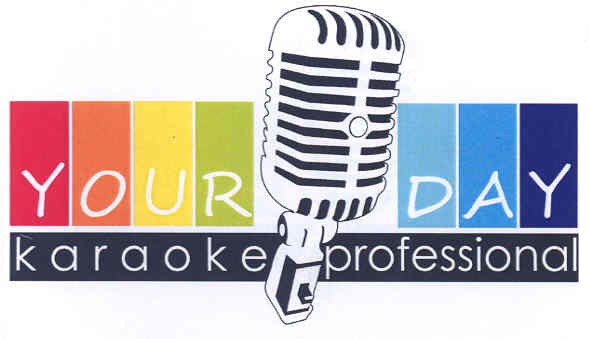 your day karaoke professional