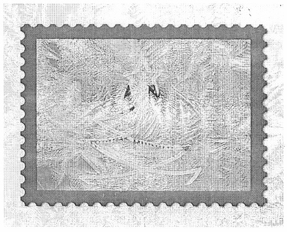 Фігуративна марка № m201100809