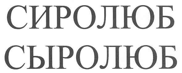 сыролюб