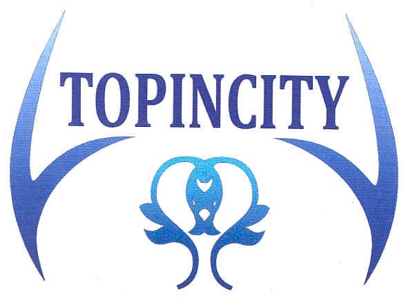 topincity