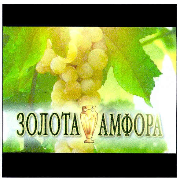 золота амфора
