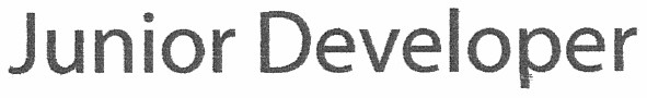 junior developer