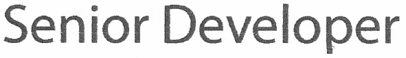 senior developer