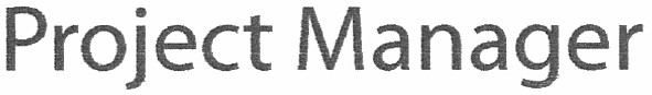 project manager