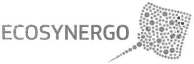ecosynergo