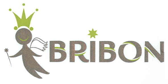 bribon