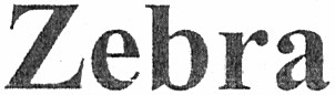 zebra