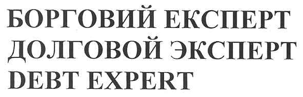 борговий експерт