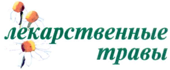 лекарственные травы