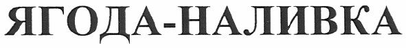 ягода-наливка