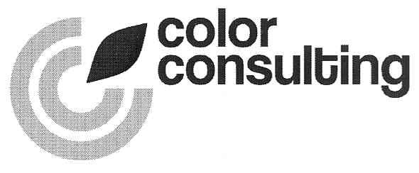 color consulting