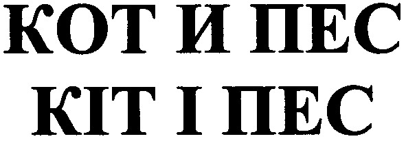 кіт і пес