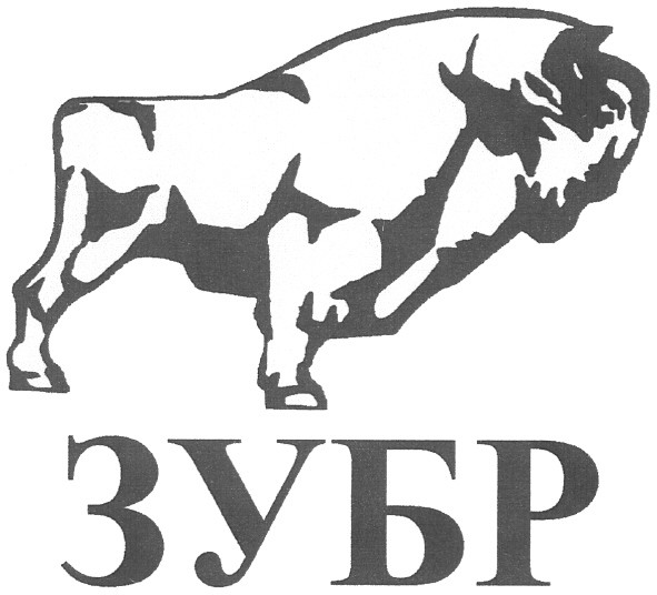 зубр