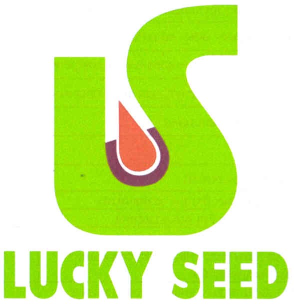 lucky seed