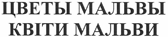 цветы мальвы