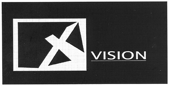 x vision